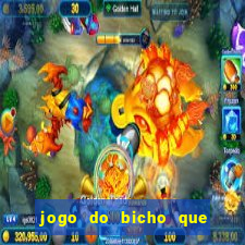 jogo do bicho que paga no pix